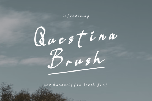 Discovering Questina Brush Font: A Creative Typeface